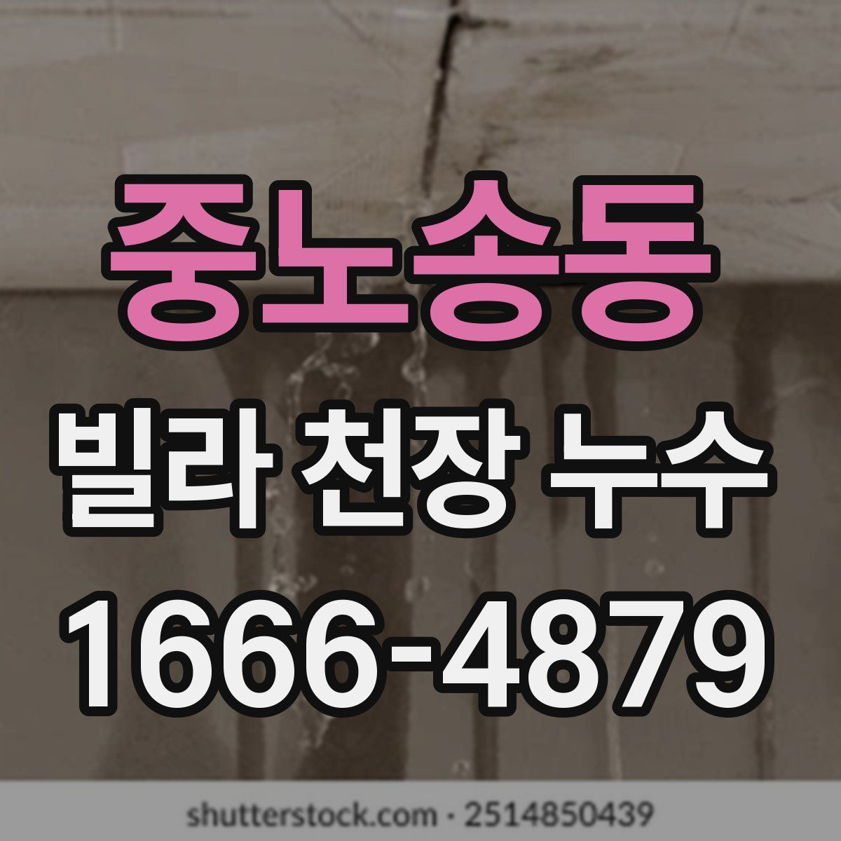 중노송동 빌라 천장 누수
