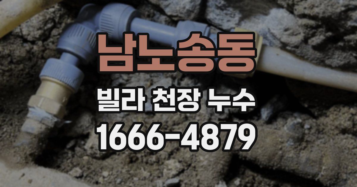 남노송동 빌라 천장 누수
