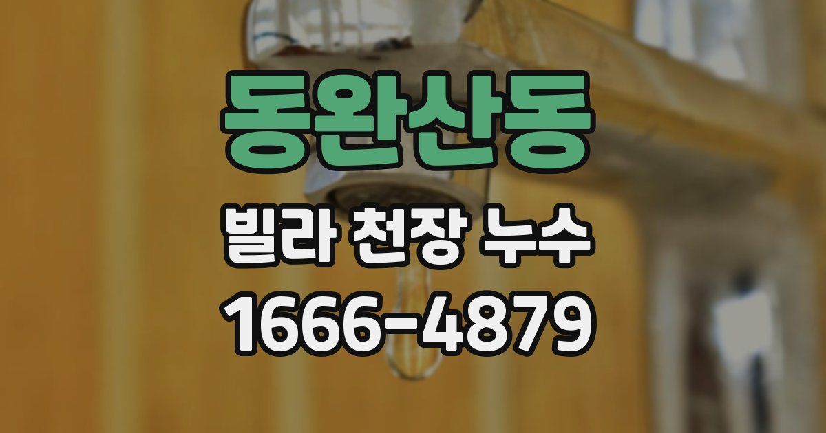동완산동 빌라 천장 누수