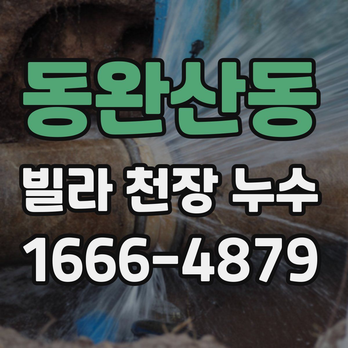 동완산동 빌라 천장 누수