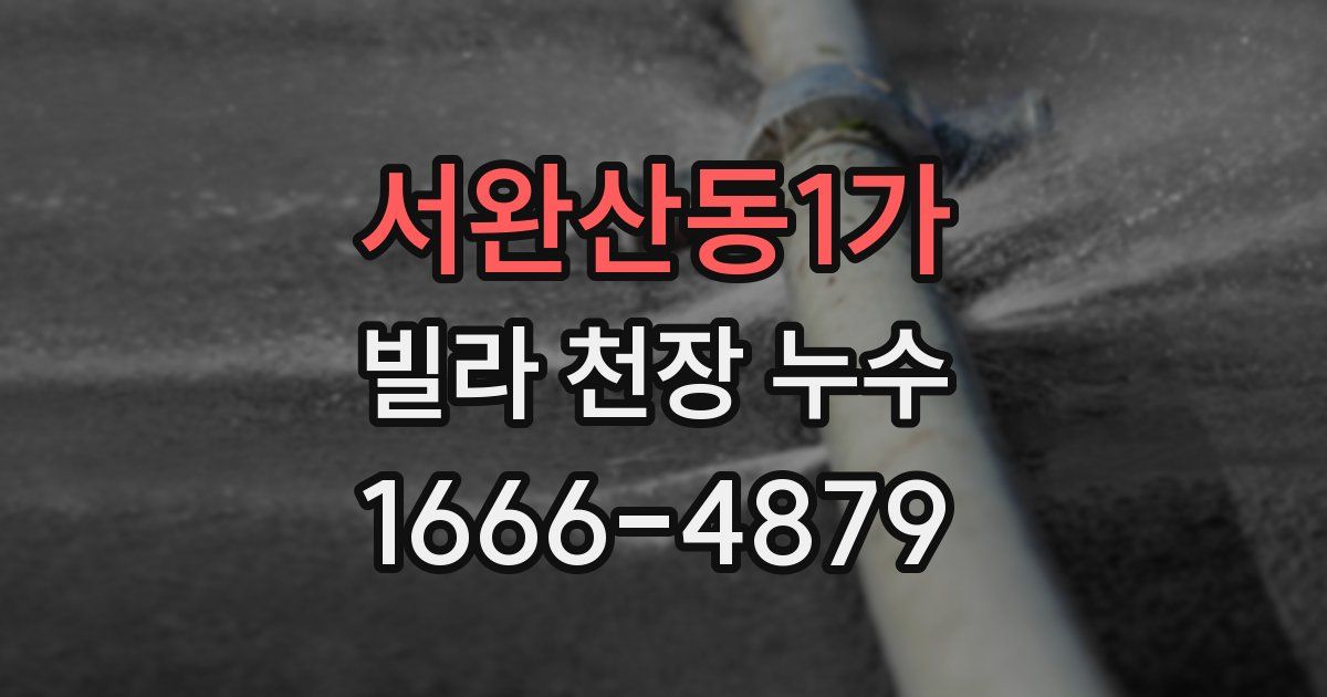 서완산동1가 빌라 천장 누수