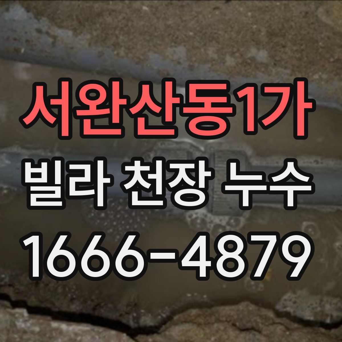 서완산동1가 빌라 천장 누수