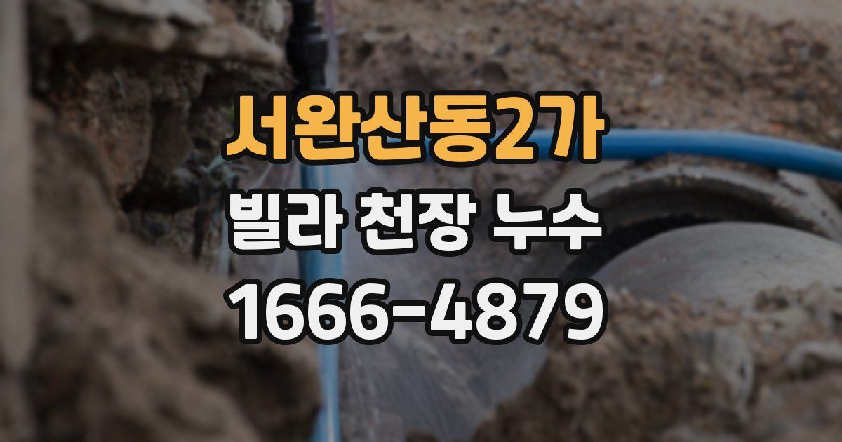 서완산동2가 빌라 천장 누수