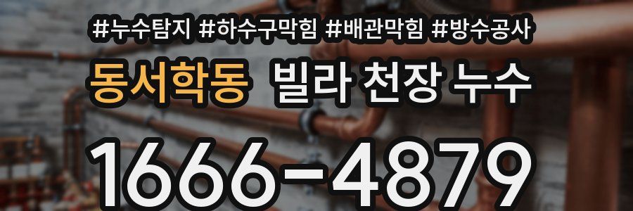 동서학동 빌라 천장 누수