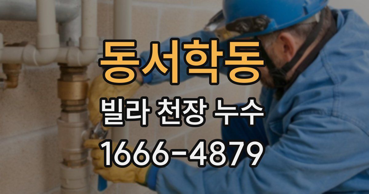 동서학동 빌라 천장 누수
