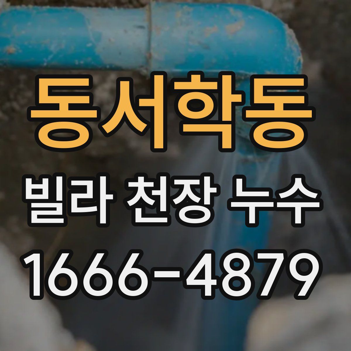 동서학동 빌라 천장 누수