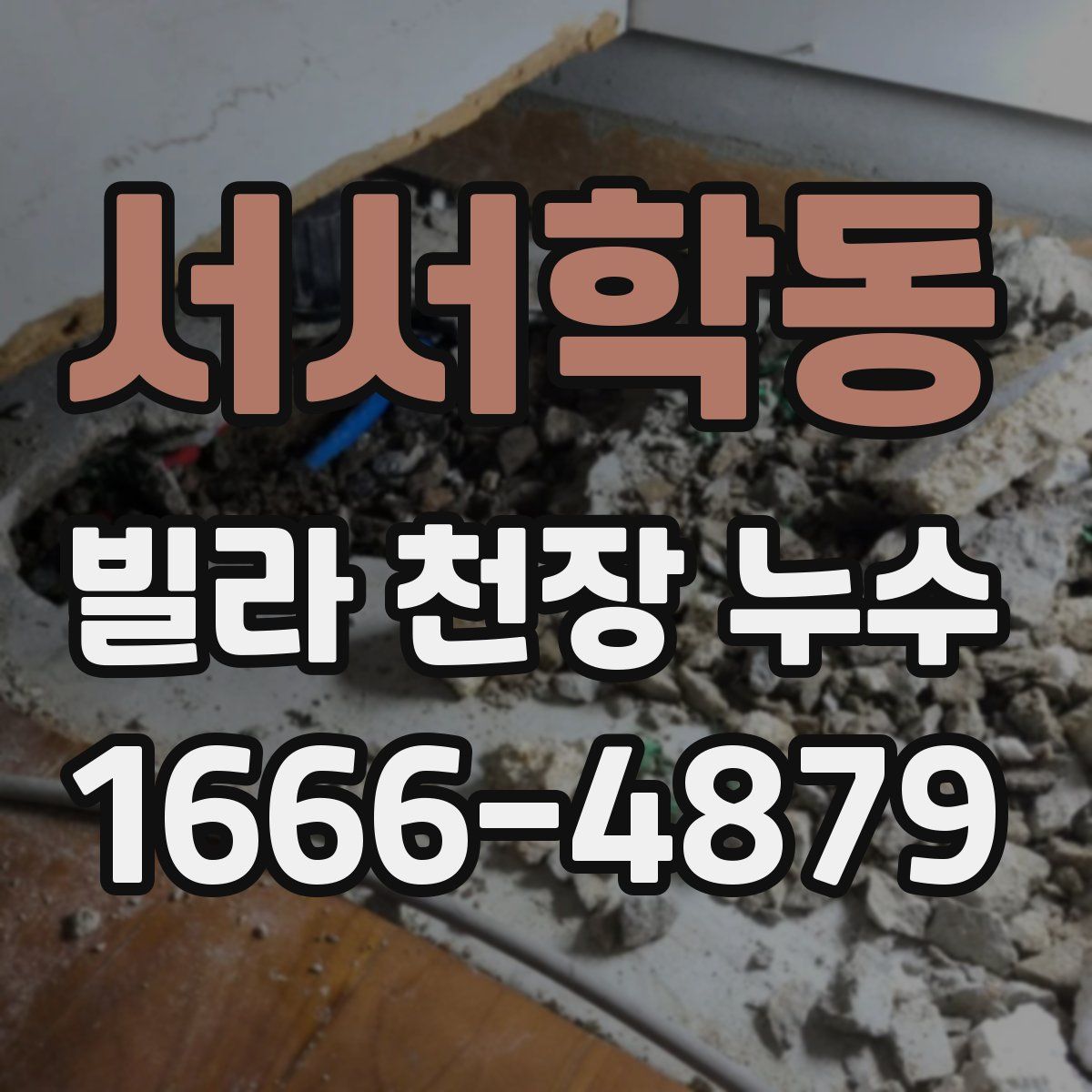 서서학동 빌라 천장 누수