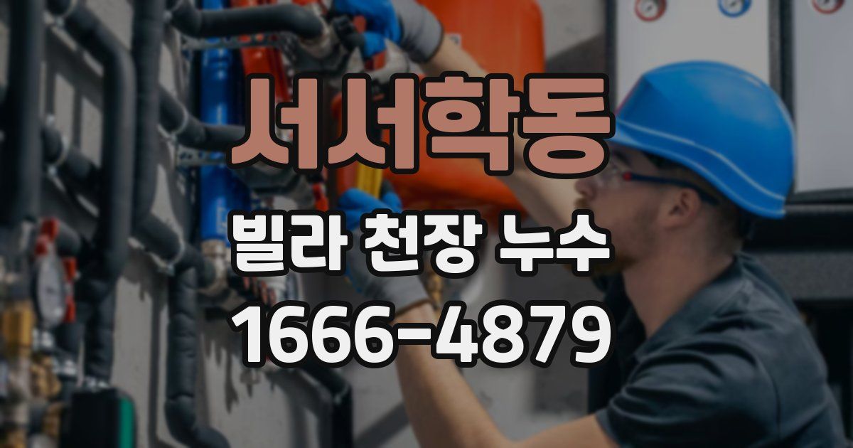 서서학동 빌라 천장 누수
