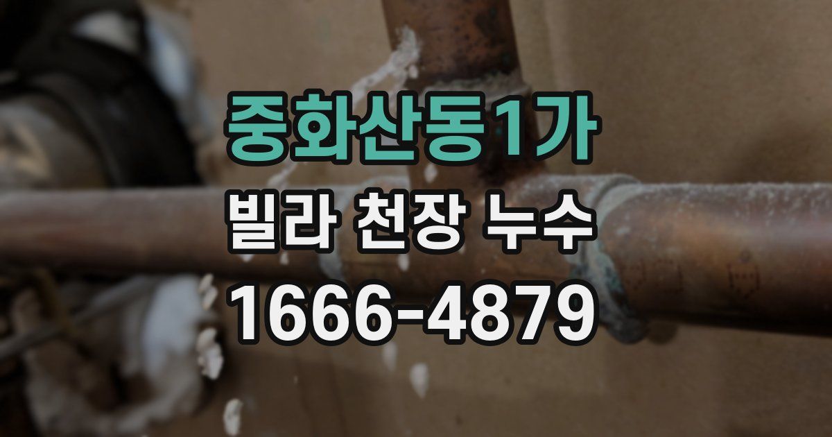 중화산동1가 빌라 천장 누수