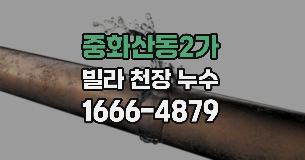 중화산동2가 빌라 천장 누수