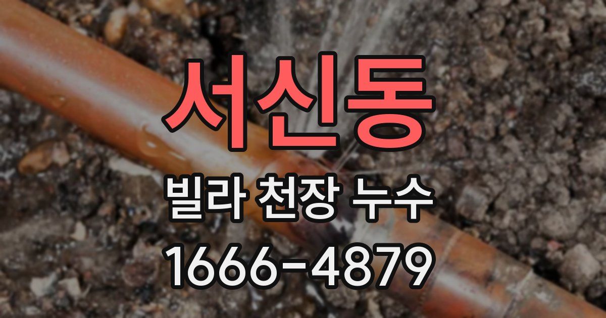 서신동 빌라 천장 누수