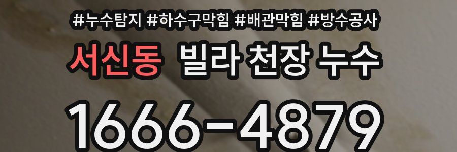 서신동 빌라 천장 누수