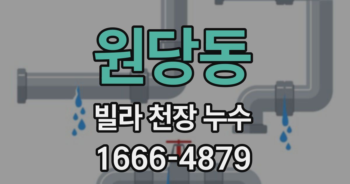 원당동 빌라 천장 누수