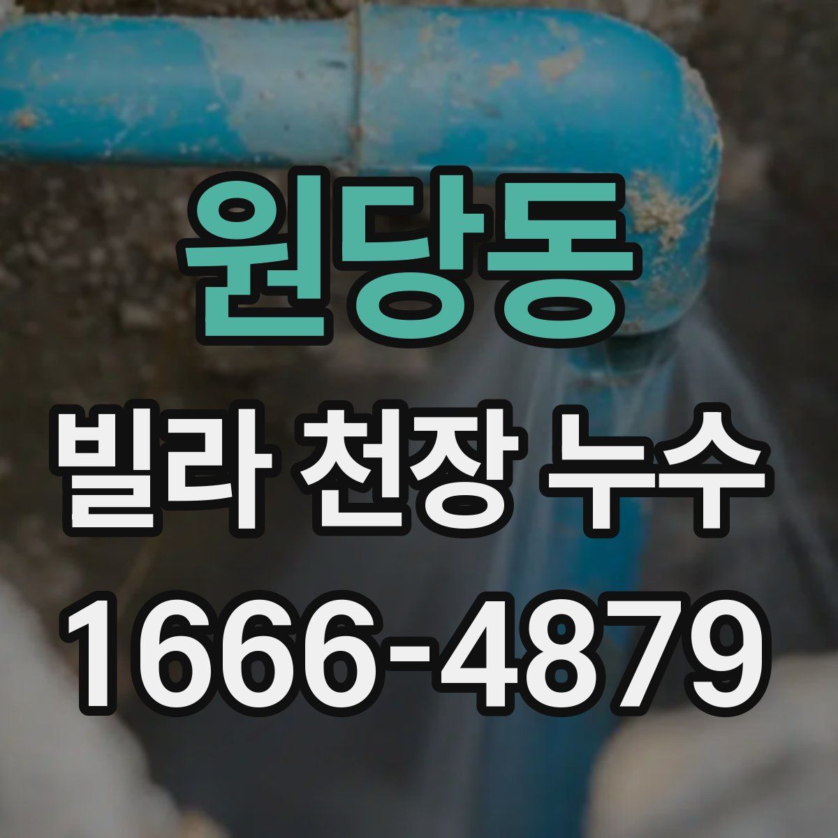 원당동 빌라 천장 누수