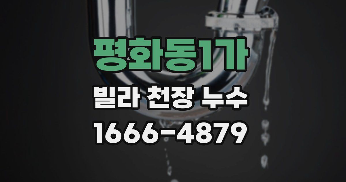 평화동1가 빌라 천장 누수