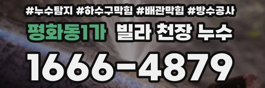 평화동1가 빌라 천장 누수
