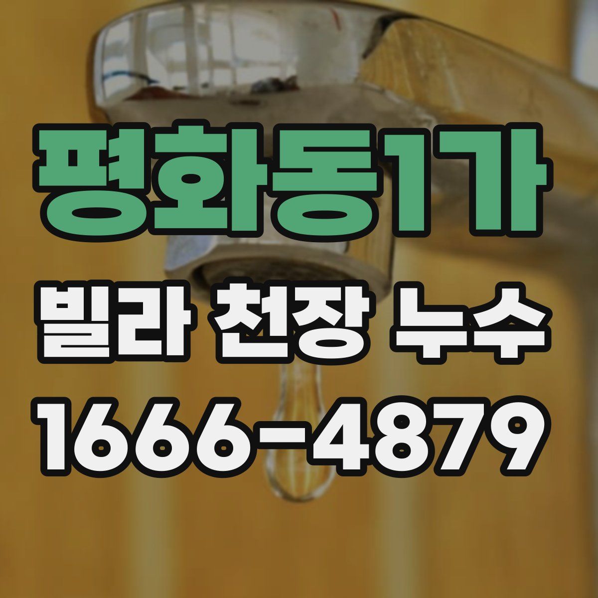평화동1가 빌라 천장 누수