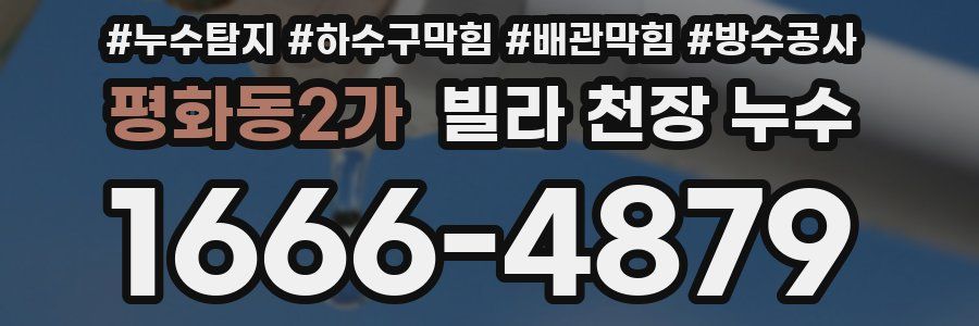 평화동2가 빌라 천장 누수