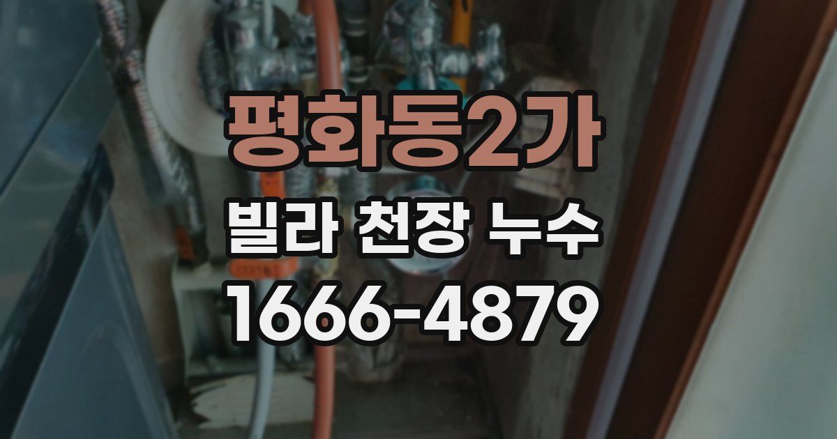 평화동2가 빌라 천장 누수