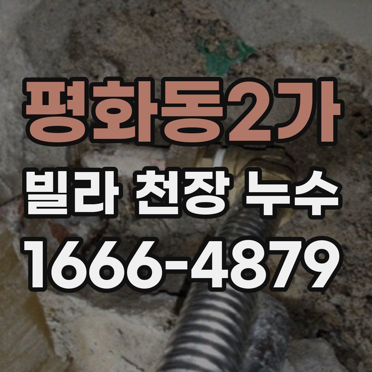 평화동2가 빌라 천장 누수
