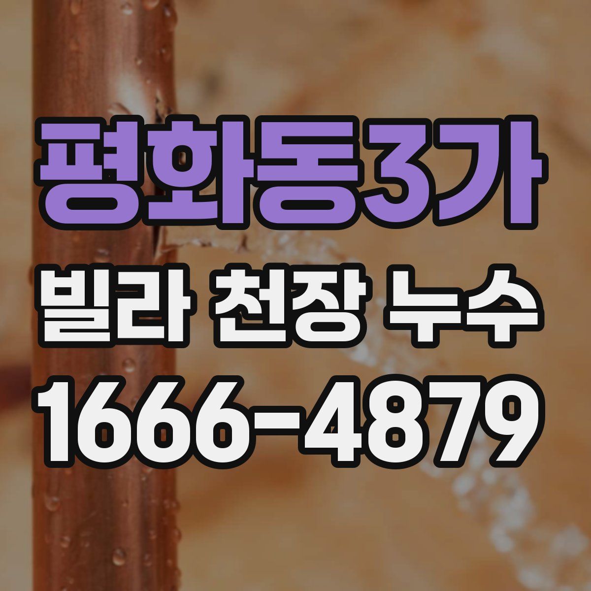 평화동3가 빌라 천장 누수