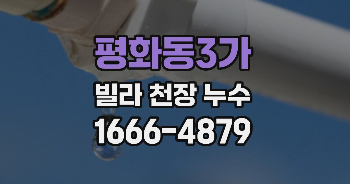 평화동3가 빌라 천장 누수