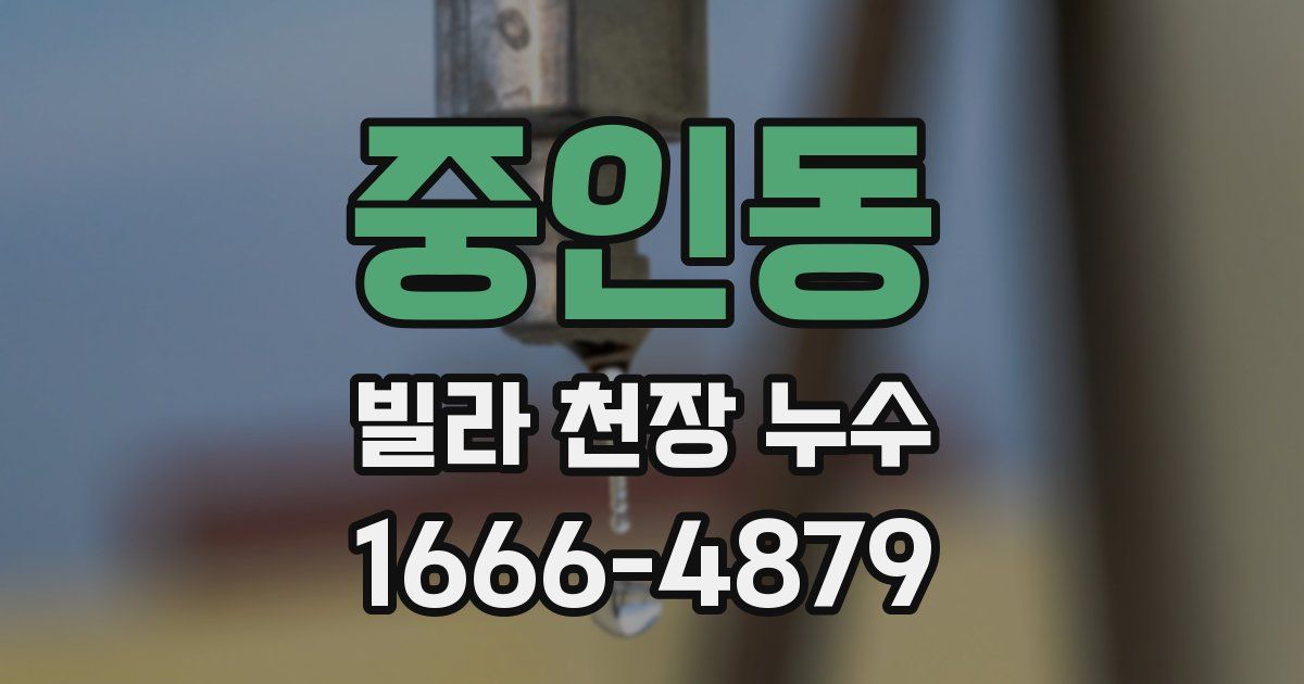 중인동 빌라 천장 누수