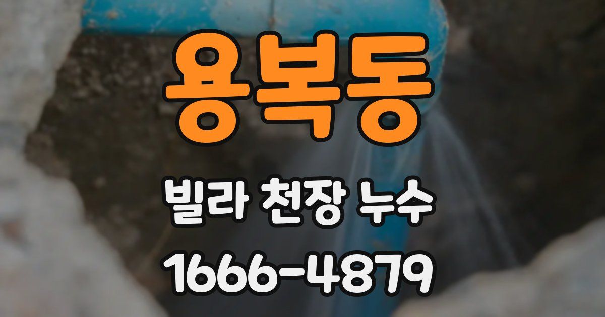 용복동 빌라 천장 누수