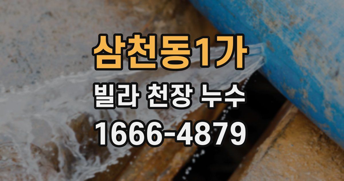 삼천동1가 빌라 천장 누수