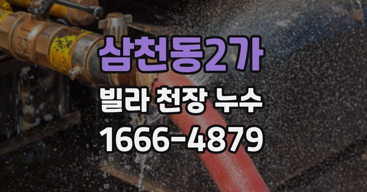 삼천동2가 빌라 천장 누수
