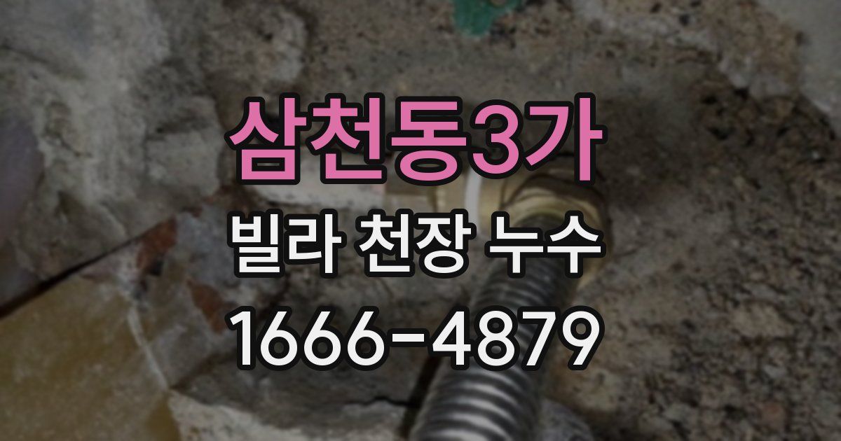 삼천동3가 빌라 천장 누수