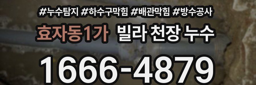 효자동1가 빌라 천장 누수