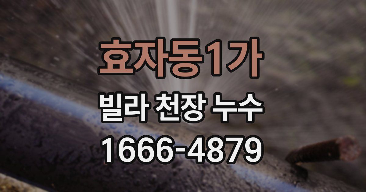 효자동1가 빌라 천장 누수