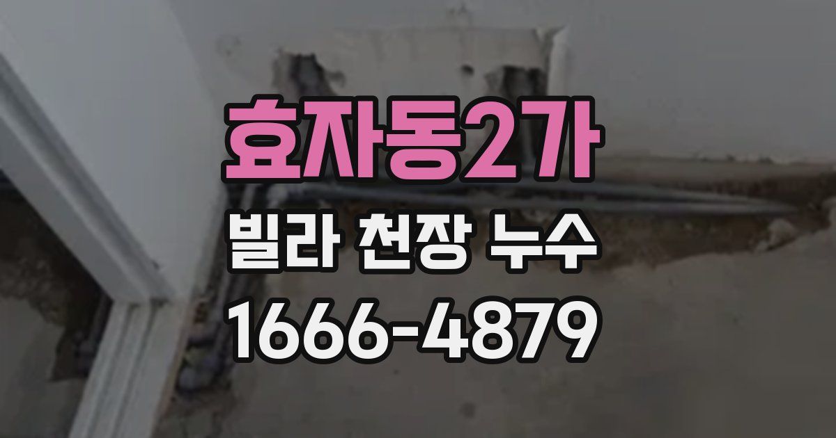 효자동2가 빌라 천장 누수