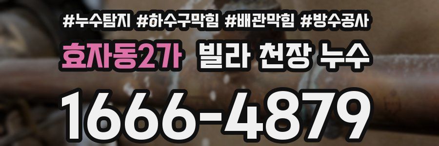 효자동2가 빌라 천장 누수
