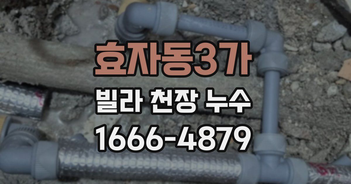 효자동3가 빌라 천장 누수