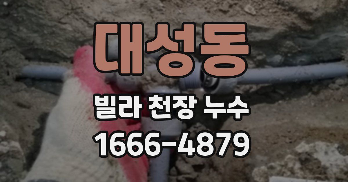 대성동 빌라 천장 누수