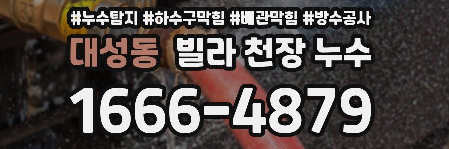 대성동 빌라 천장 누수