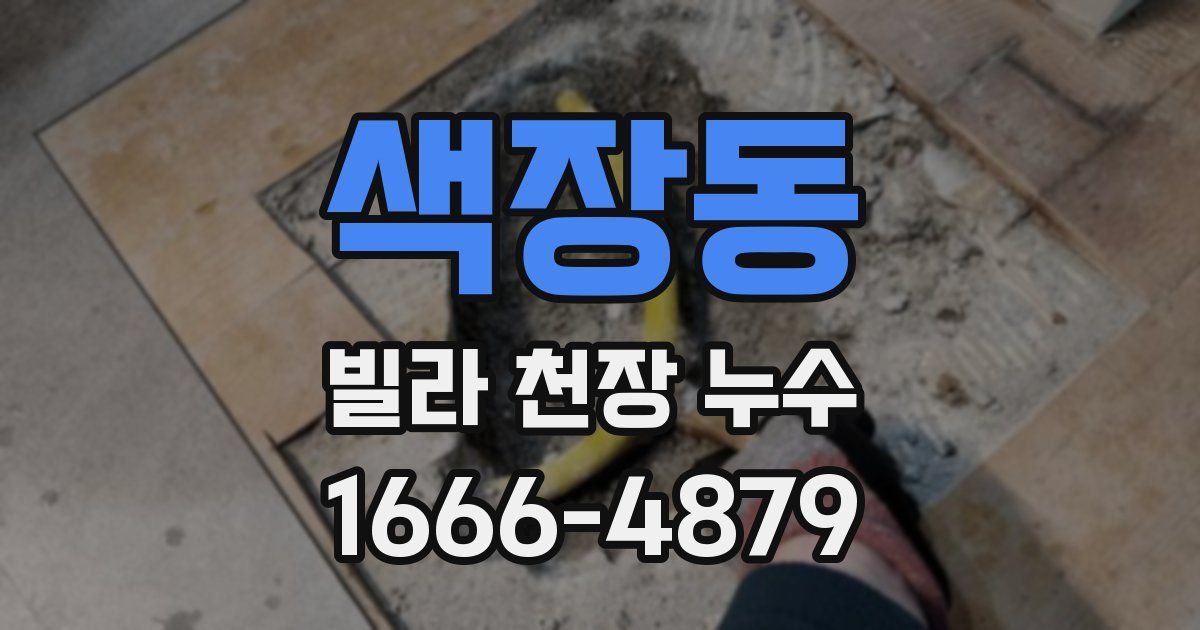 색장동 빌라 천장 누수