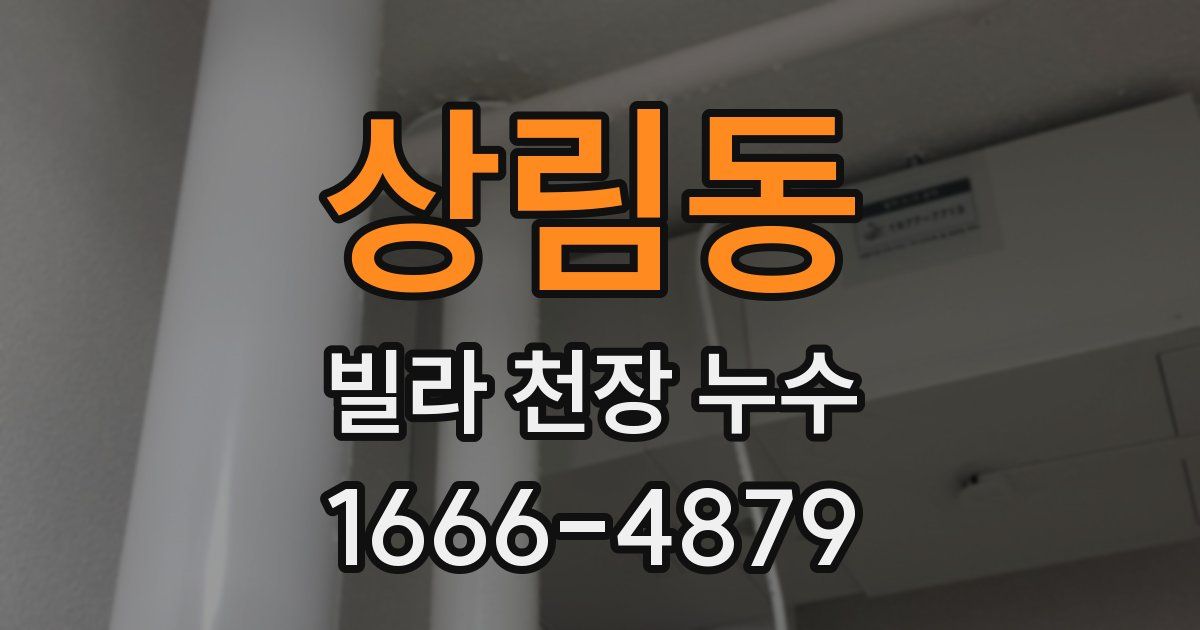 상림동 빌라 천장 누수