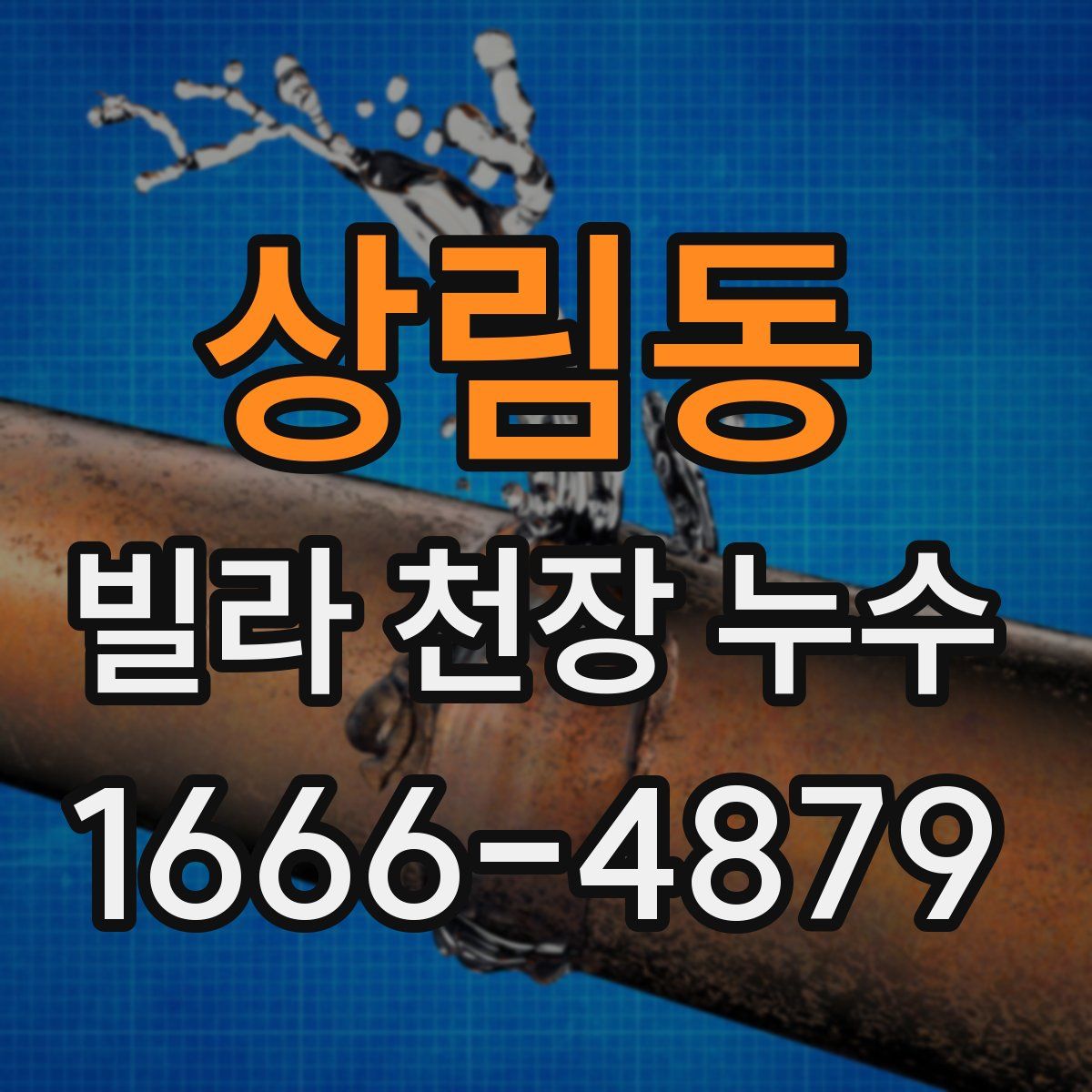 상림동 빌라 천장 누수