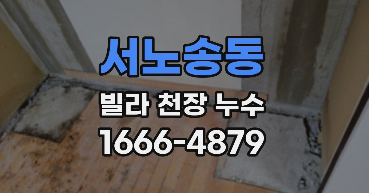 서노송동 빌라 천장 누수