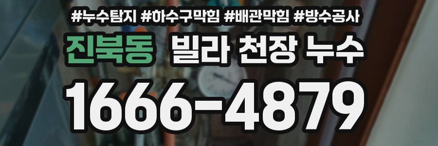 진북동 빌라 천장 누수
