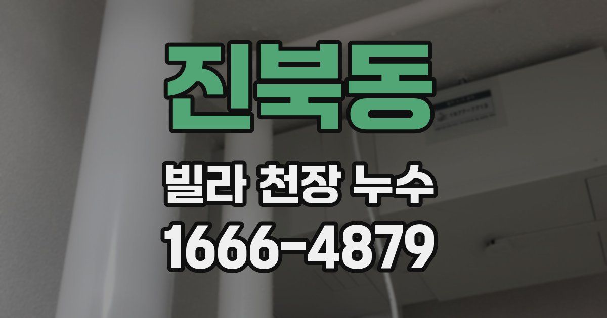 진북동 빌라 천장 누수