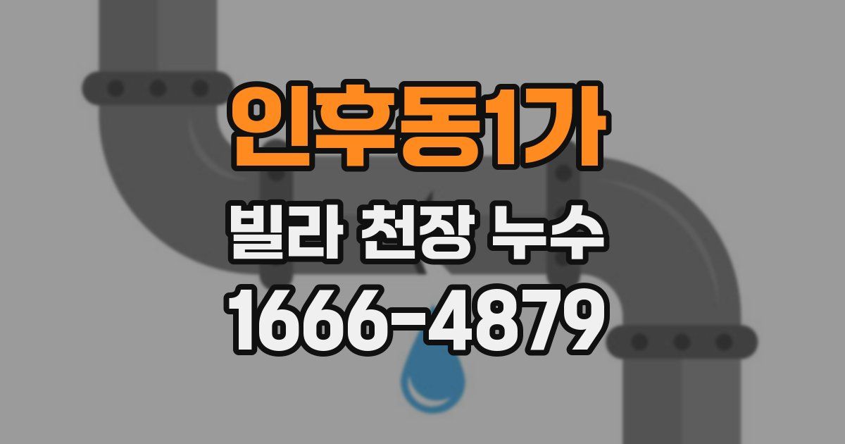 인후동1가 빌라 천장 누수