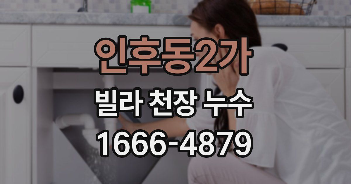 인후동2가 빌라 천장 누수