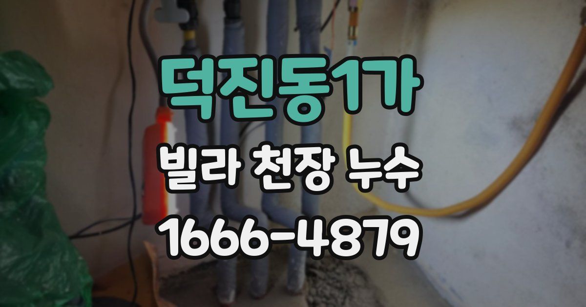 덕진동1가 빌라 천장 누수