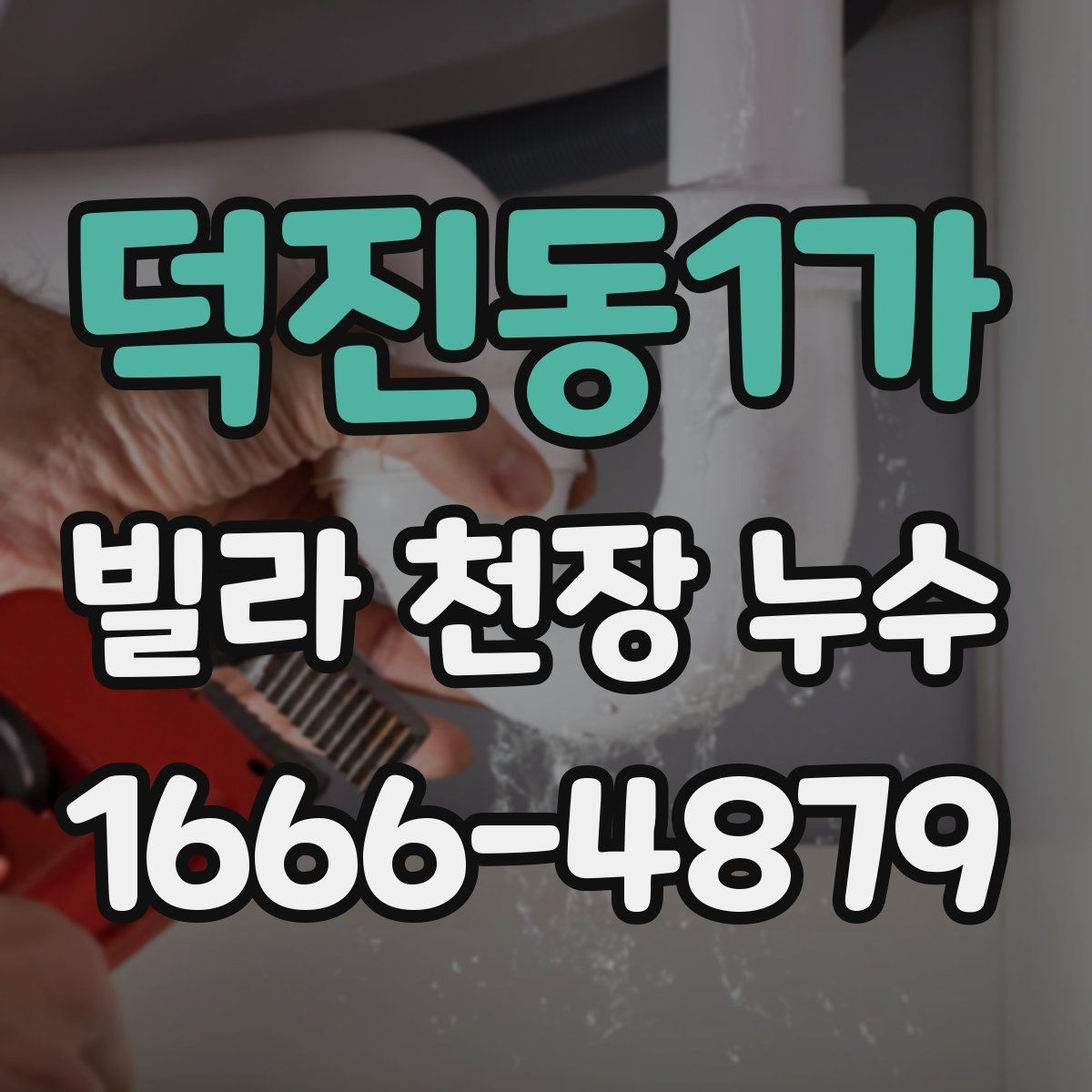 덕진동1가 빌라 천장 누수
