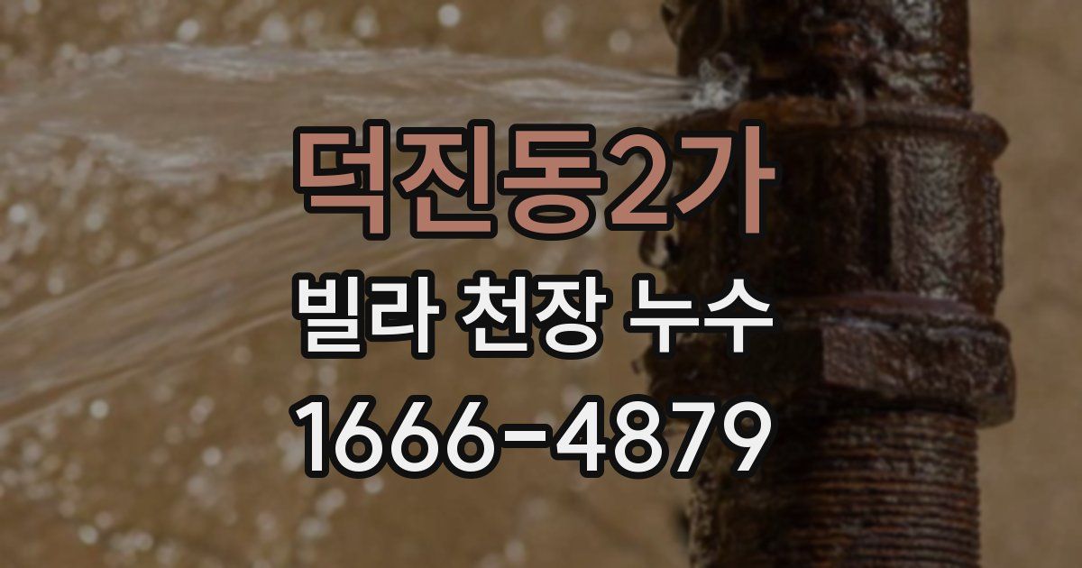 덕진동2가 빌라 천장 누수