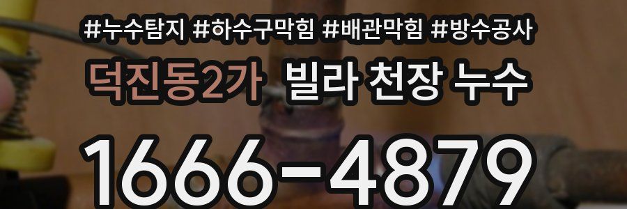 덕진동2가 빌라 천장 누수